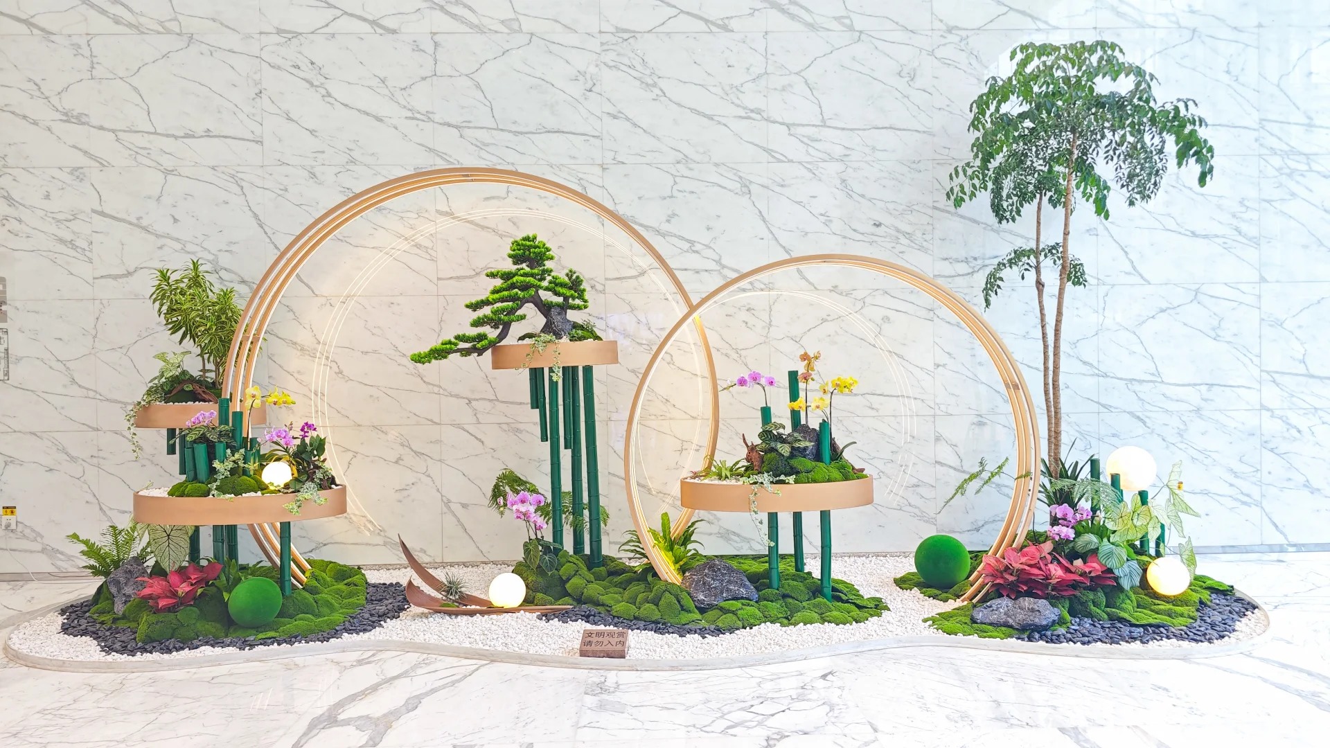 体验宁波余姚植物租赁设计，畅享清新宜人家居氛围