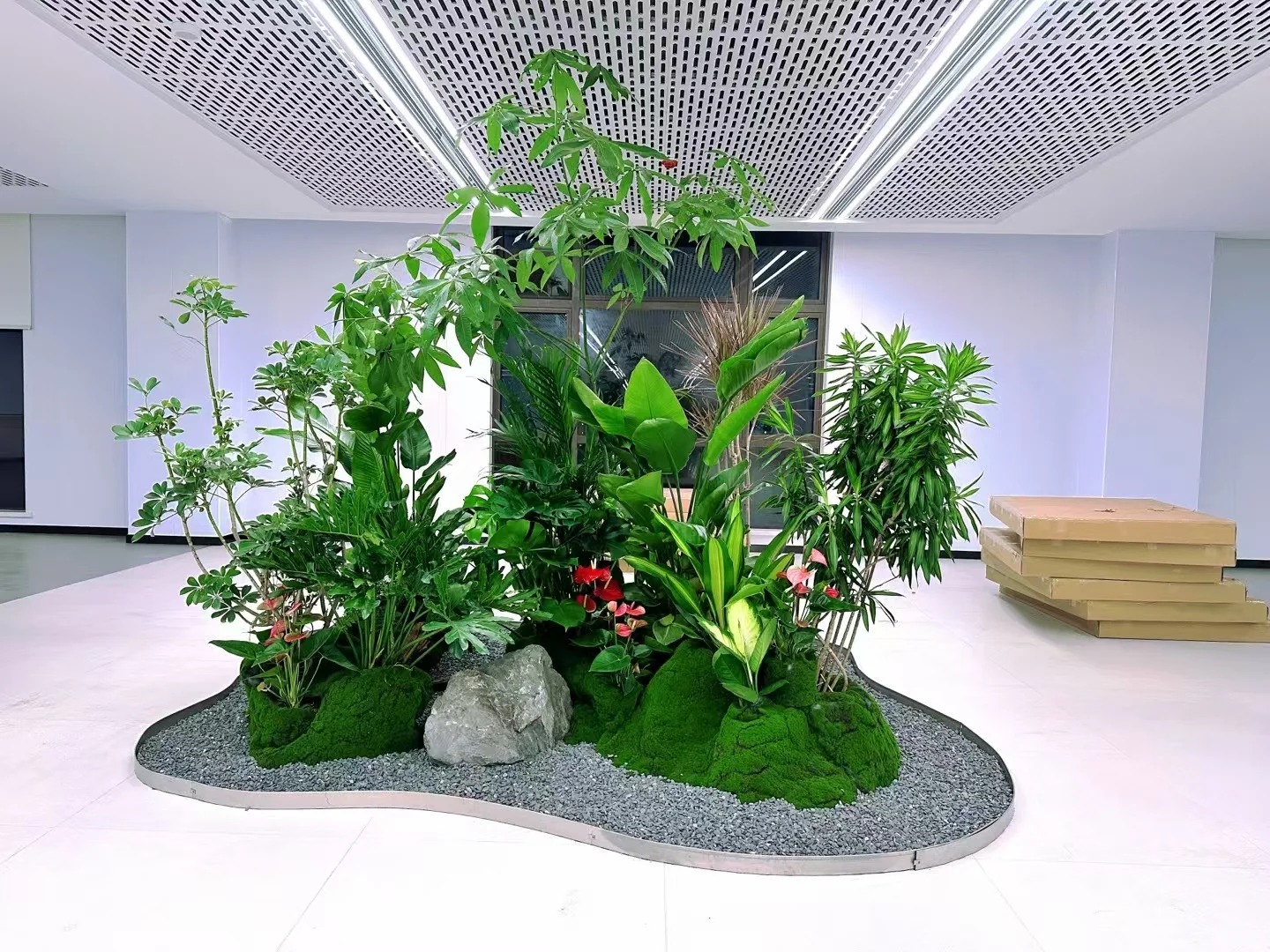 体验宁波余姚植物租赁设计，畅享清新宜人家居氛围